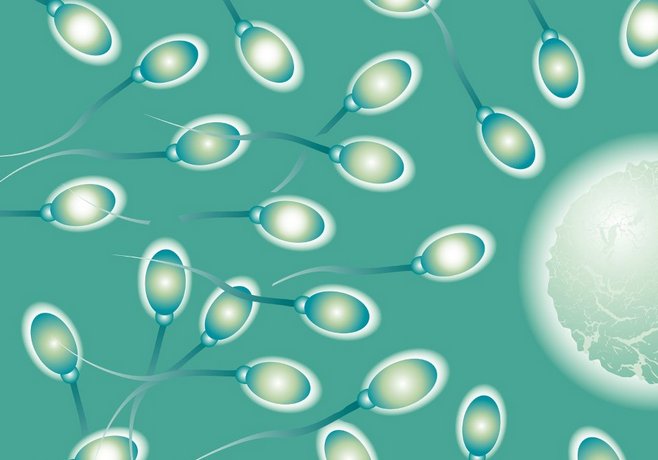 bigstockphoto Sperm Medical 2998098 Муж с женой оказались отпрысками одного донора спермы